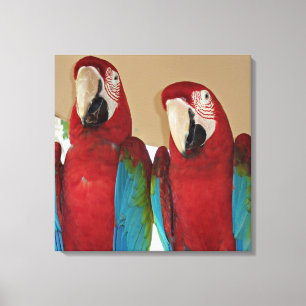 Scarlet Macaw Pair Tropical Wall Portrait Canvas Print