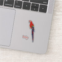 Scarlet macaw parrot cartoon illustration