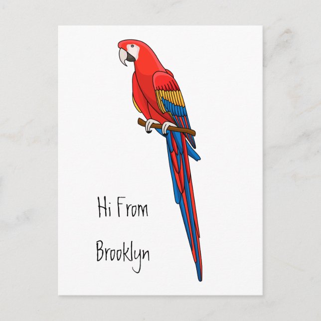 Scarlet macaw parrot cartoon illustration postcard (Front)