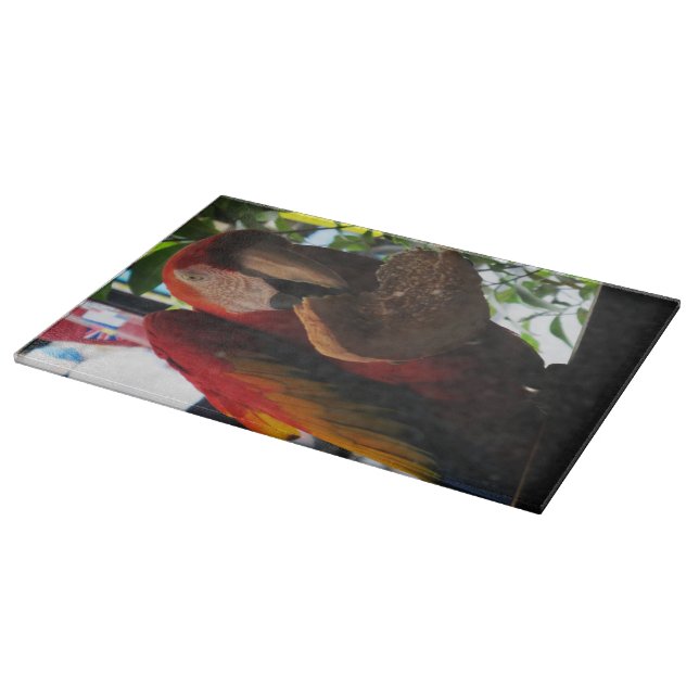 Scarlet Macaw Parrot Eating Toast Cutting Board (Corner)