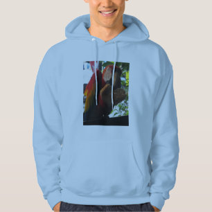 Scarlet Macaw Parrot Eating Toast Hoodie