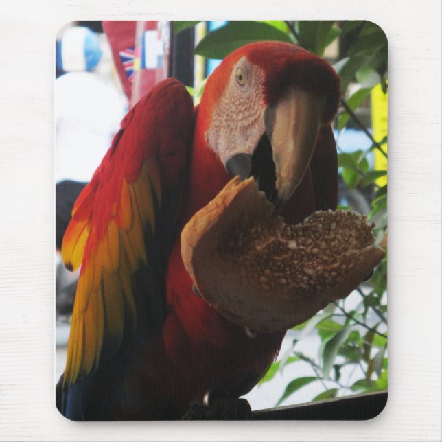 Scarlet Macaw Parrot Eating Toast Mouse Pad (Front)