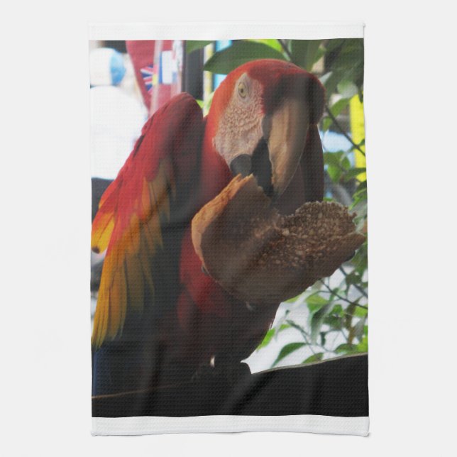 Scarlet Macaw Parrot Eating Toast Tea Towel (Vertical)
