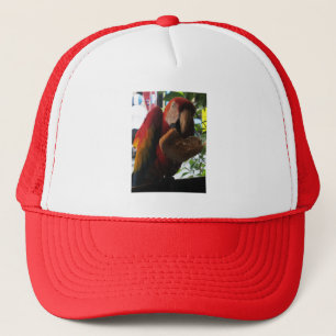 Scarlet Macaw Parrot Eating Toast Trucker Hat