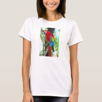 Scarlet Macaw, Parrot on Womans T-shirt