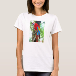 Scarlet Macaw, Parrot on Womans T-shirt