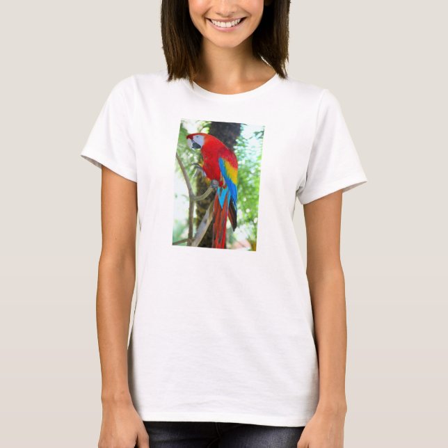 Scarlet Macaw, Parrot on Womans T-shirt (Front)
