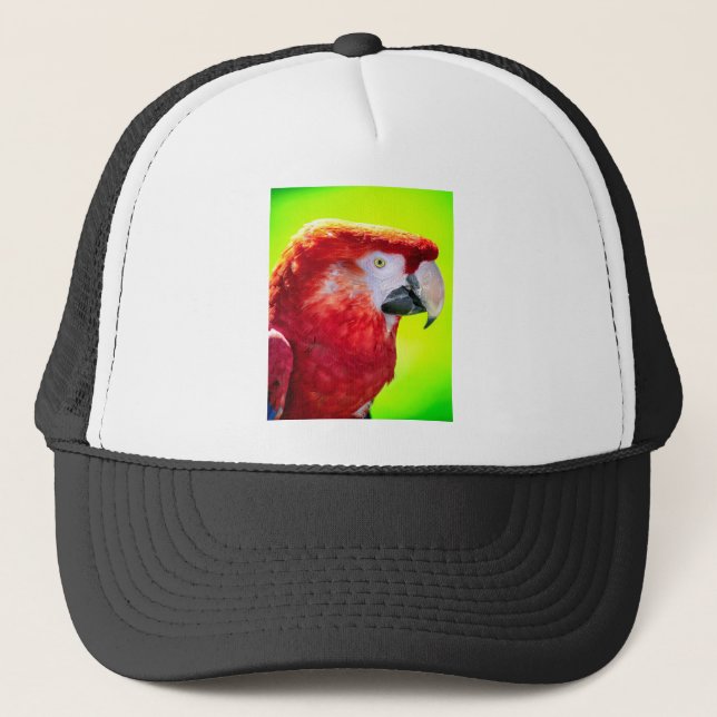 Scarlet macaw parrot trucker hat (Front)