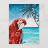 Scarlet Macaw Parrot Watercolor Tropical