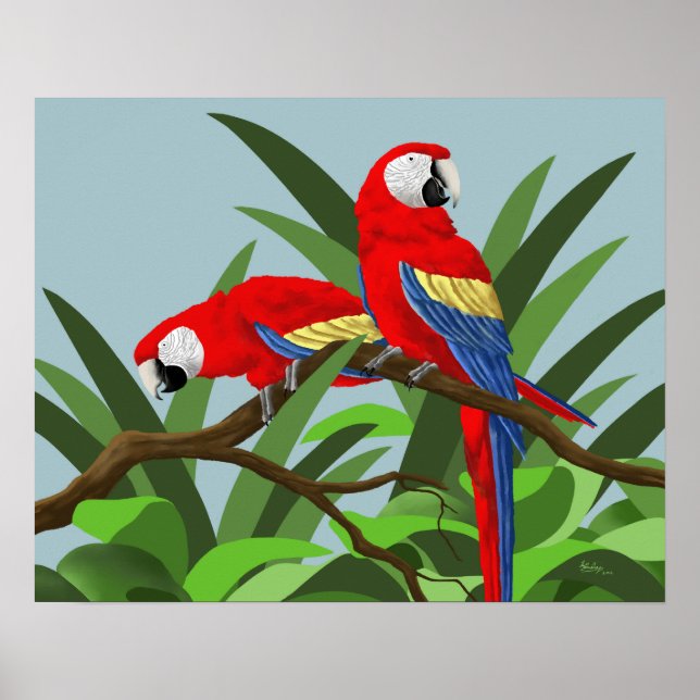 Scarlet Macaw Posters (Front)