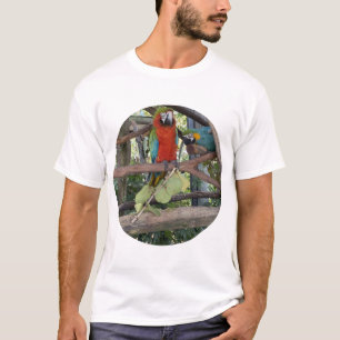 Scarlet Macaw T-Shirt