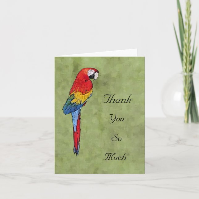 Scarlet Macaw Thank You Notecard (Front)