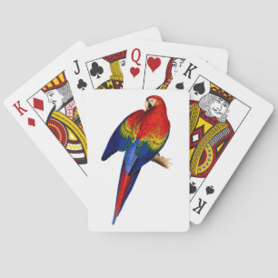 Scarlet Macaw Tropical Colorful Rain Forest Bird Playing Cards
