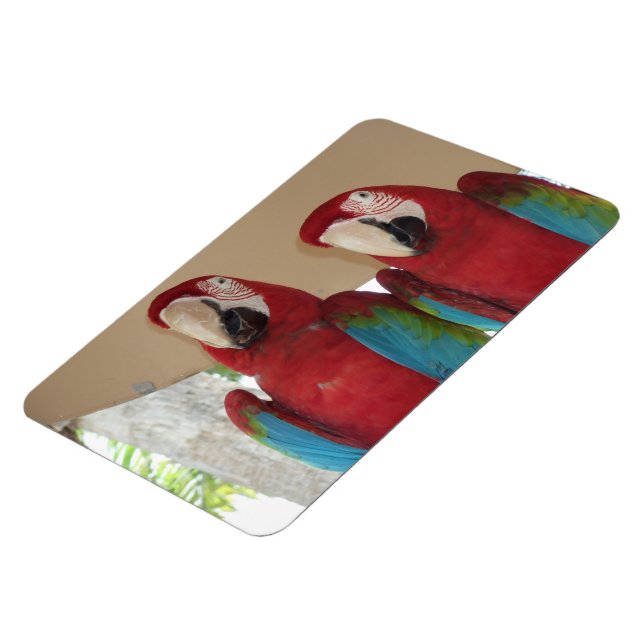 Scarlet Macaw Tropical Illustration Magnet (Left Side)