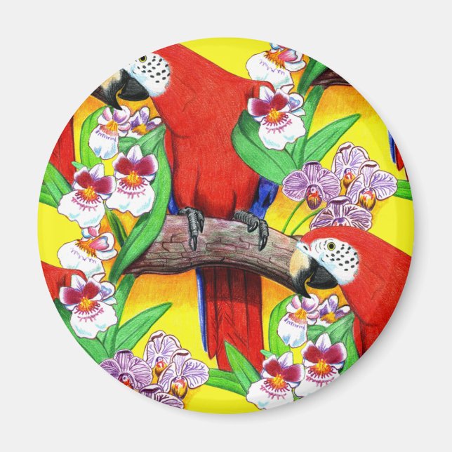 Scarlet McCaw Magnet (Front)