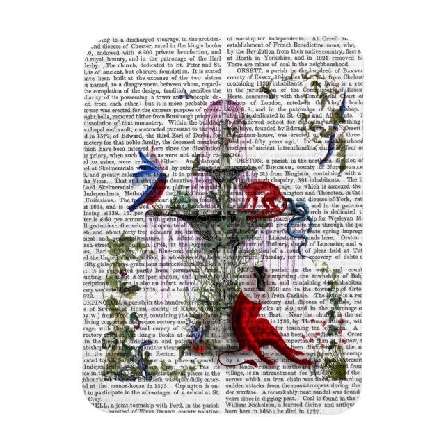 Scarlet Monkey 2 Magnet (Vertical)