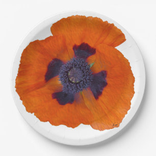 Scarlet Orange Poppy 1 Paper Plate