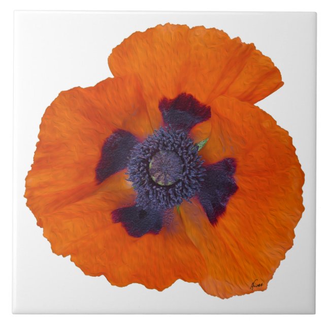 Scarlet Orange Poppy 1 Tile (Front)