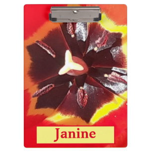 Scarlet Red Tulip  Clipboard