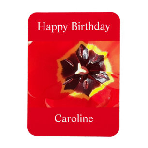 Scarlet Red Tulip  Magnet