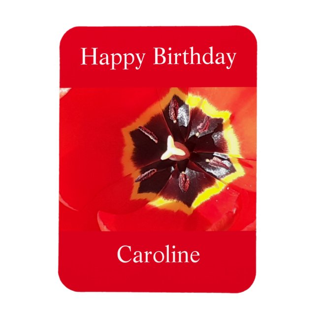 Scarlet Red Tulip  Magnet (Vertical)