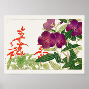 Scarlet sage, Melastoma by Tanigami Konan Poster