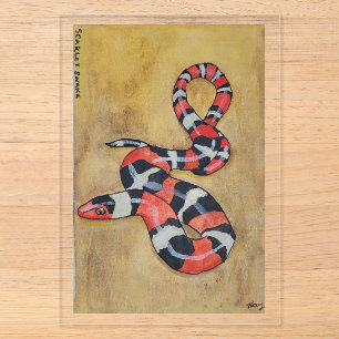 Scarlet Snake Watercolor Painting Acrylic Invitations