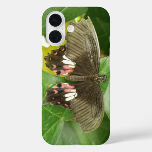 Scarlet Swallowtail Butterfly iPhone 16 Case