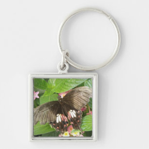 Scarlet Swallowtail Butterfly Macro Keychain