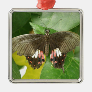 Scarlet Swallowtail Butterfly Ornament