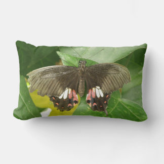 Scarlet Swallowtail Butterfly Pillow