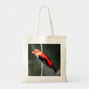 Scarlet Tanager Budget Tote Bag
