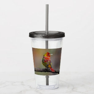 Scarlet Tanager Molting - Original Photograph Acrylic Tumbler