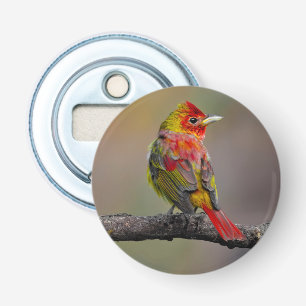 Scarlet Tanager Molting - Original Photograph Bottle Opener