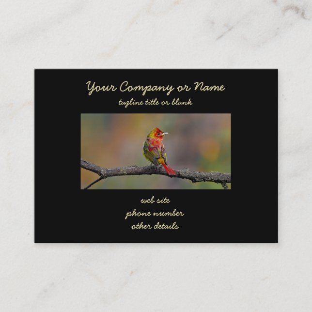 Scarlet Tanager Molting - Original Photograph Business Card (Front)