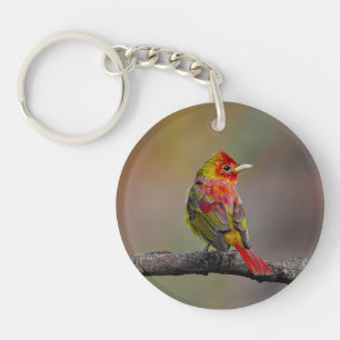 Scarlet Tanager Molting - Original Photograph Key Ring