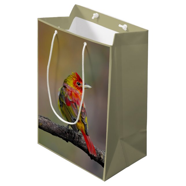 Scarlet Tanager Molting - Original Photograph Medium Gift Bag (Front Angled)