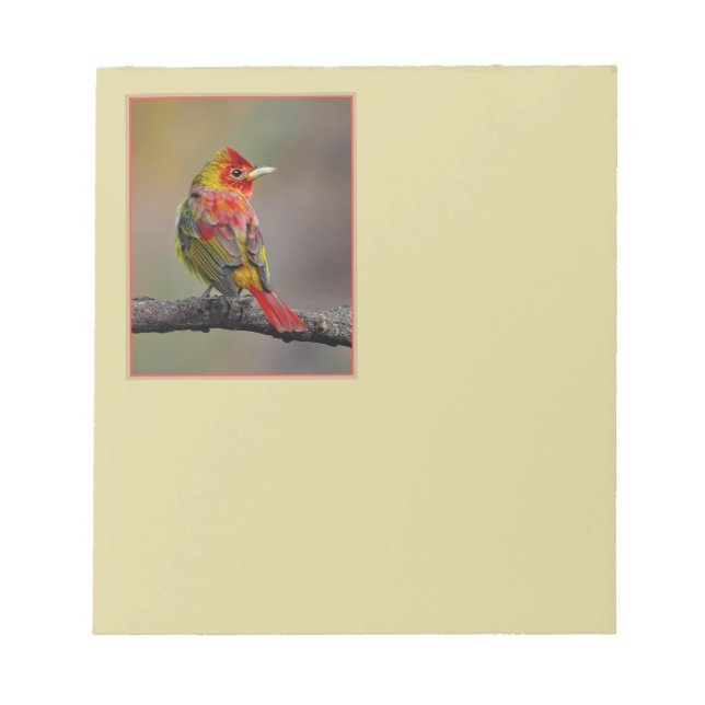 Scarlet Tanager Molting - Original Photograph Notepad (Front)