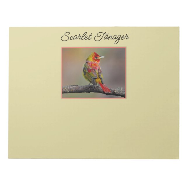 Scarlet Tanager Molting - Original Photograph Notepad (Front)