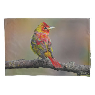 Scarlet Tanager Molting - Original Photograph Pillowcase