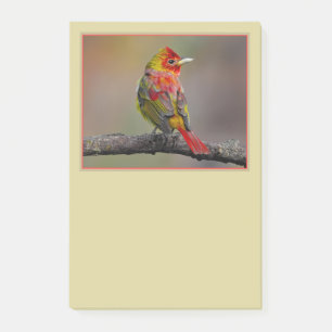 Scarlet Tanager Molting - Original Photograph Post-it Notes