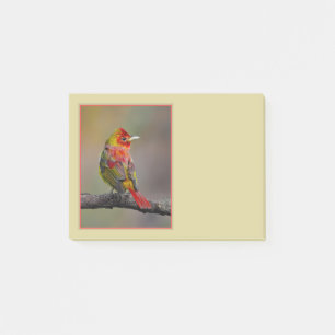 Scarlet Tanager Molting - Original Photograph Post-it Notes