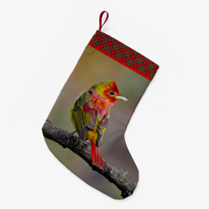 Scarlet Tanager Molting - Original Photograph Small Christmas Stocking