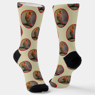 Scarlet Tanager Molting Original Photograph Socks