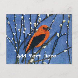 Scarlet Tanager Postcard