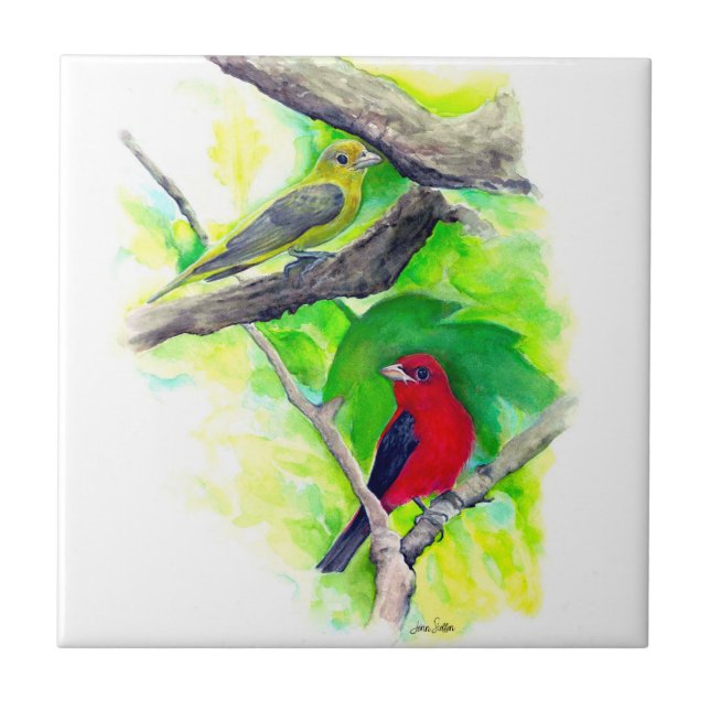 Scarlet Tanagers Birds Watercolor Painting Tile (Front)