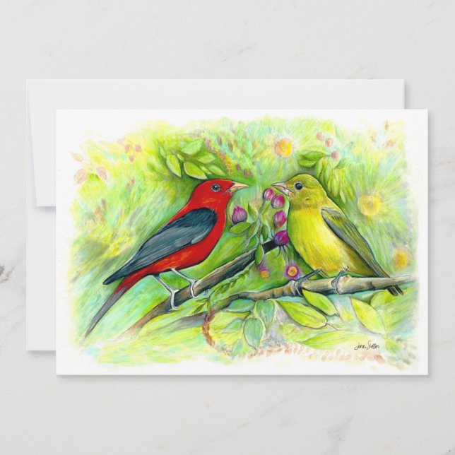 Scarlet Tanagers Watercolor Coloured Pencil Drawin Thank You Card (Front)