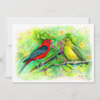 Scarlet Tanagers Watercolor Coloured Pencil Drawin