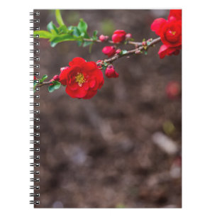 Scarlet Top Notebook
