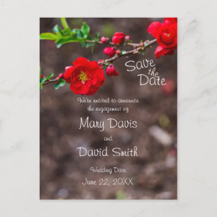 Scarlet Top Wedding Postcard